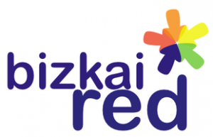 Logo_Big_bizkaired