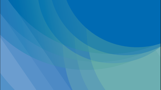 Memoria 2025 de la Unidad Dual